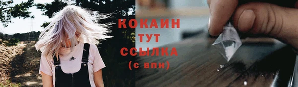 соль ск Алексеевка